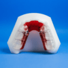 Sagittal 2